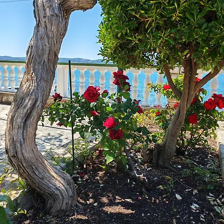 House Roko By The Sea *