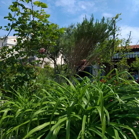 Holiday home House Roko Sveti Petar (Zadar)