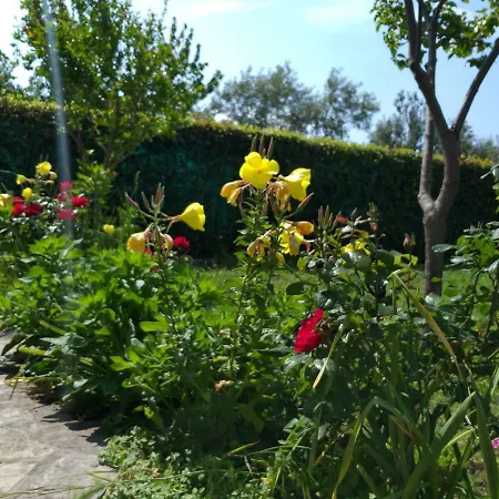Holiday home House Roko Sveti Petar (Zadar)