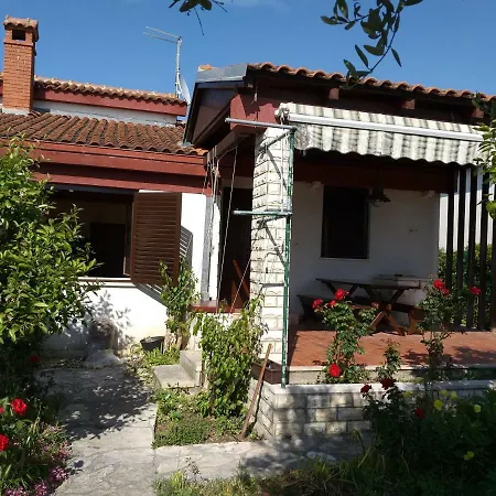 House Roko *